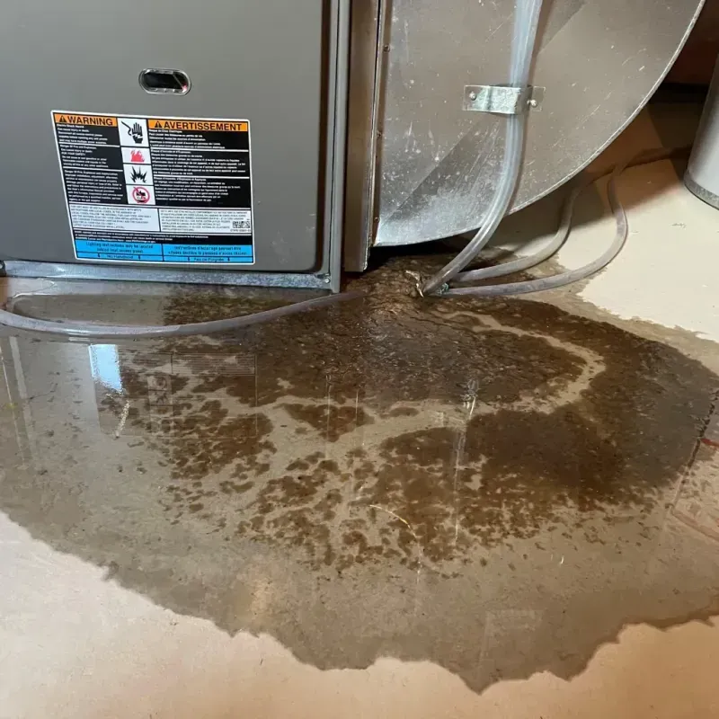 Appliance Leak Cleanup in Center Point, AL